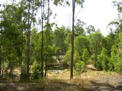 the neighbours dam