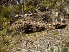 photo of flood debris