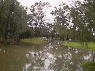 photo of the Nyngan Caravan Park