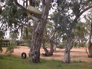 photo of Stephens Creek at Quandong