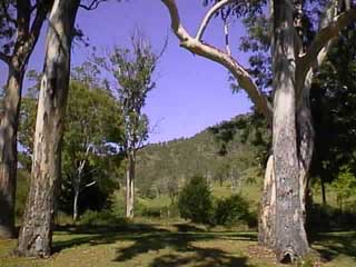 photo of darlington park