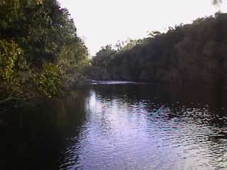 photo of Broadwater State Forest Park