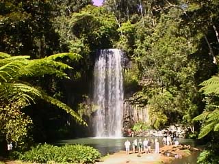 photo of Millaa Millaa Falls