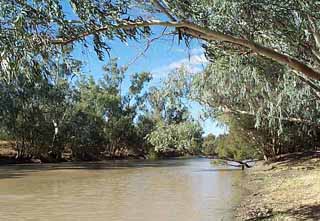 photo of the Barcoo River at Isisford