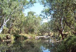photo of the Spring Creek