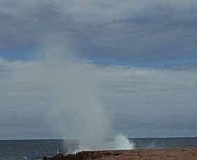 photo of the blowhole