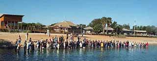 photo of the dolphin feeding