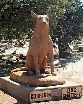 photo of the corrigin dog cemetery