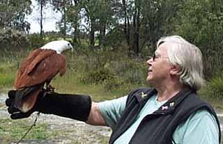 photo of jean with rusty the brahminy kite