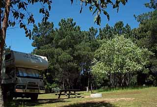 photo of the motley in the shannon campground