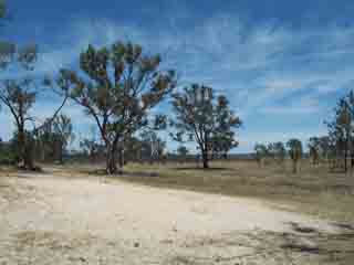 photo of Yaapeet Beach