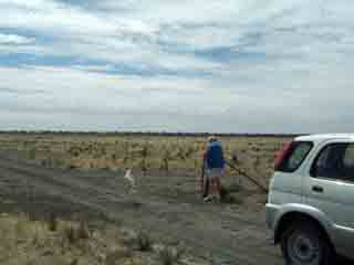 photo of the gate in the middle of Lake Albacutya