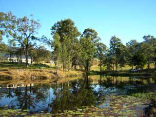 photo of the dam