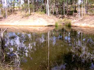 photo of the dam on the property at glenwood