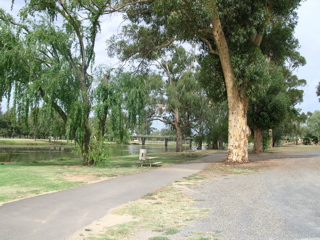 photo of the lions park in forbes