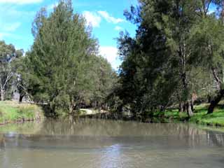 photo of ironbark creek