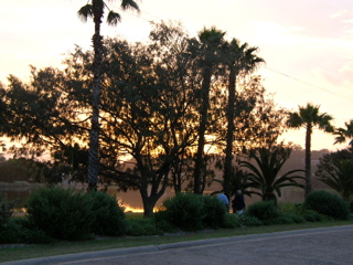 photo of sunset at narrabeen