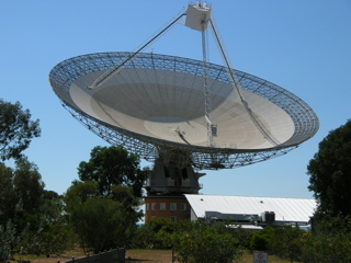 photo of the dish