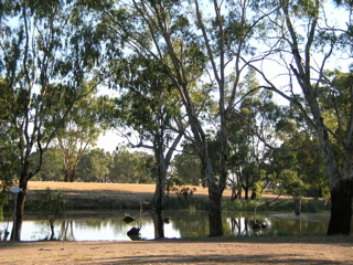the river at aysons reserve