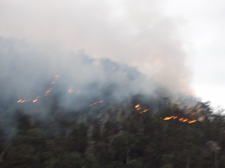 photo of the fire on the mountain