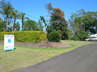 photo of the for sale sign