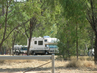 photo of he Motley in the bush