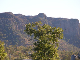 photo of mount zamia