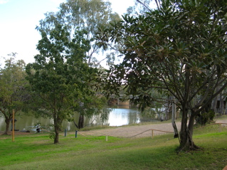 photo of dawson river