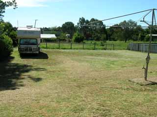 the newly mowed back lawn